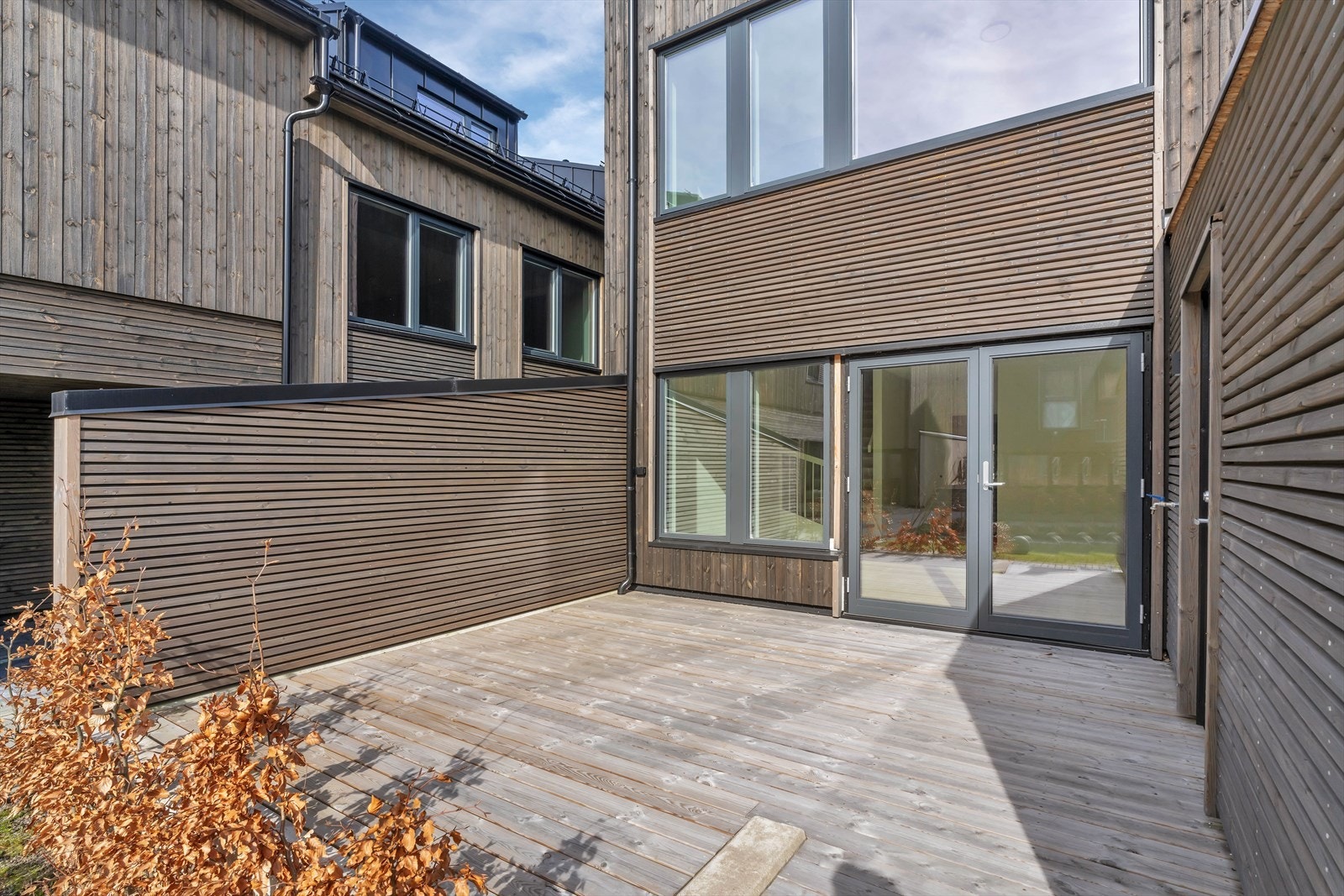 Det er plantet bøkehekk som blir grønn og flott sommerhalvåret Galleribilde