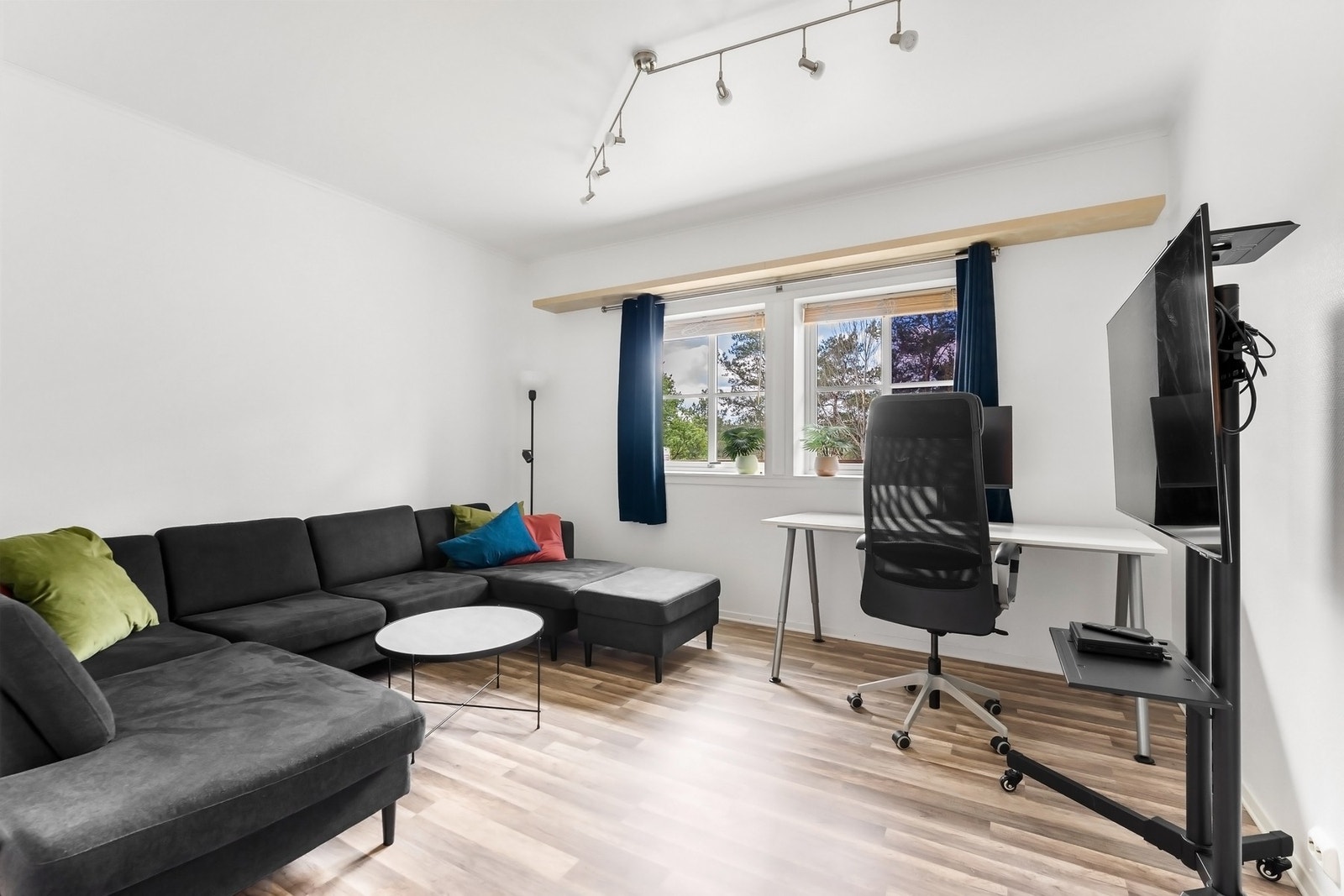 Separat del 1. Galleribilde