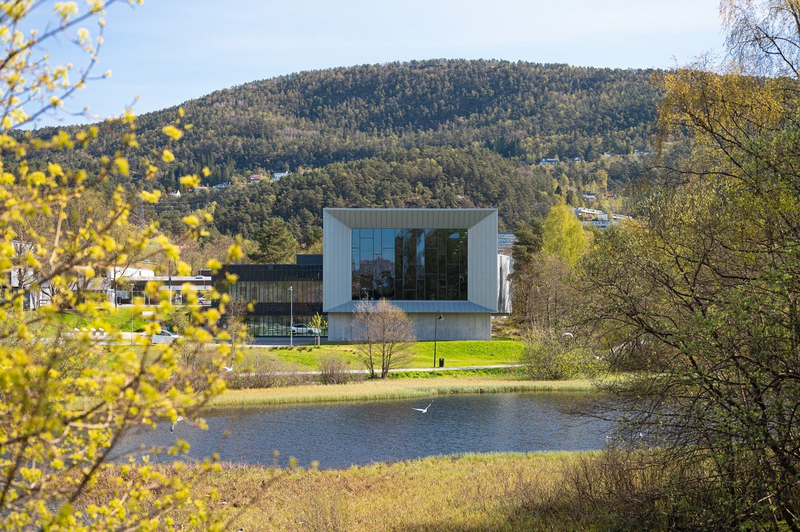 Det er kort avstand til idrettsanlegg, barnehager og skoler i alle alderstrinn. Flotte tur og rekreasjonsområder til f.eks Ortuvannet, Lynghaugparken med egen frisbeegolfbane, Løvstakken, Kanadaskogen og Tennebekktjørna. Galleribilde