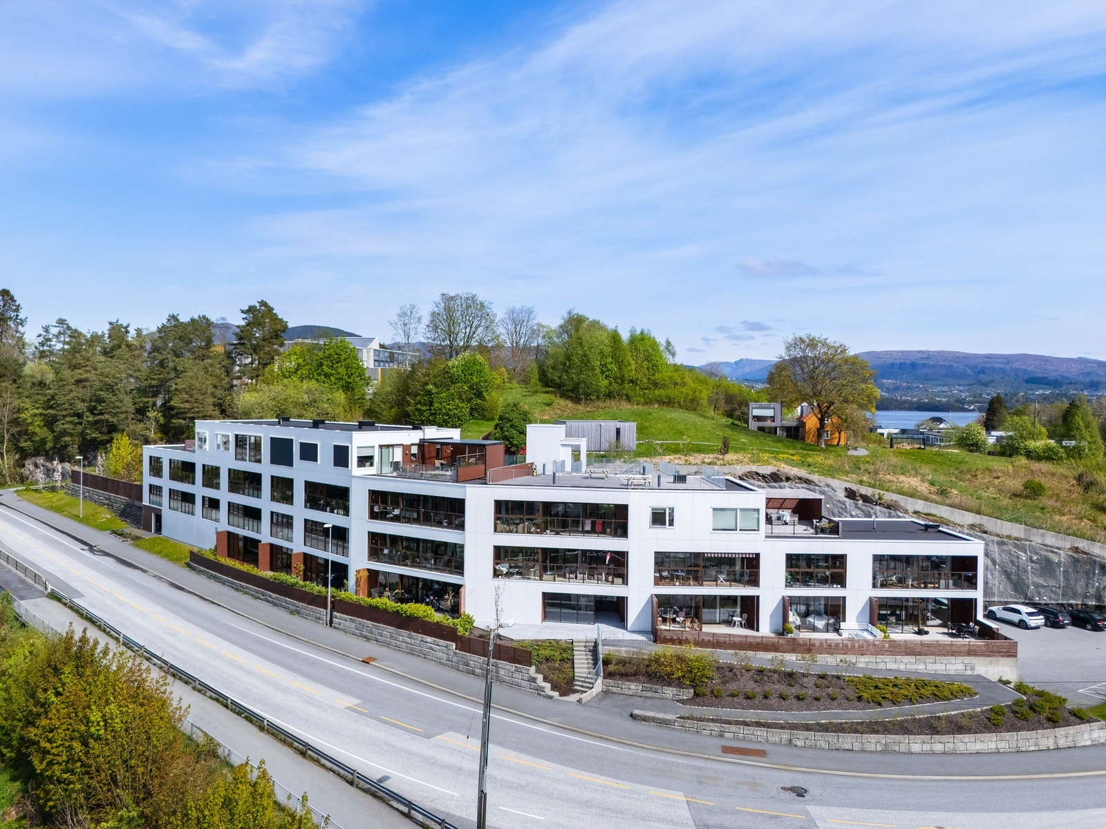 Sameiet Villblomsten Galleribilde