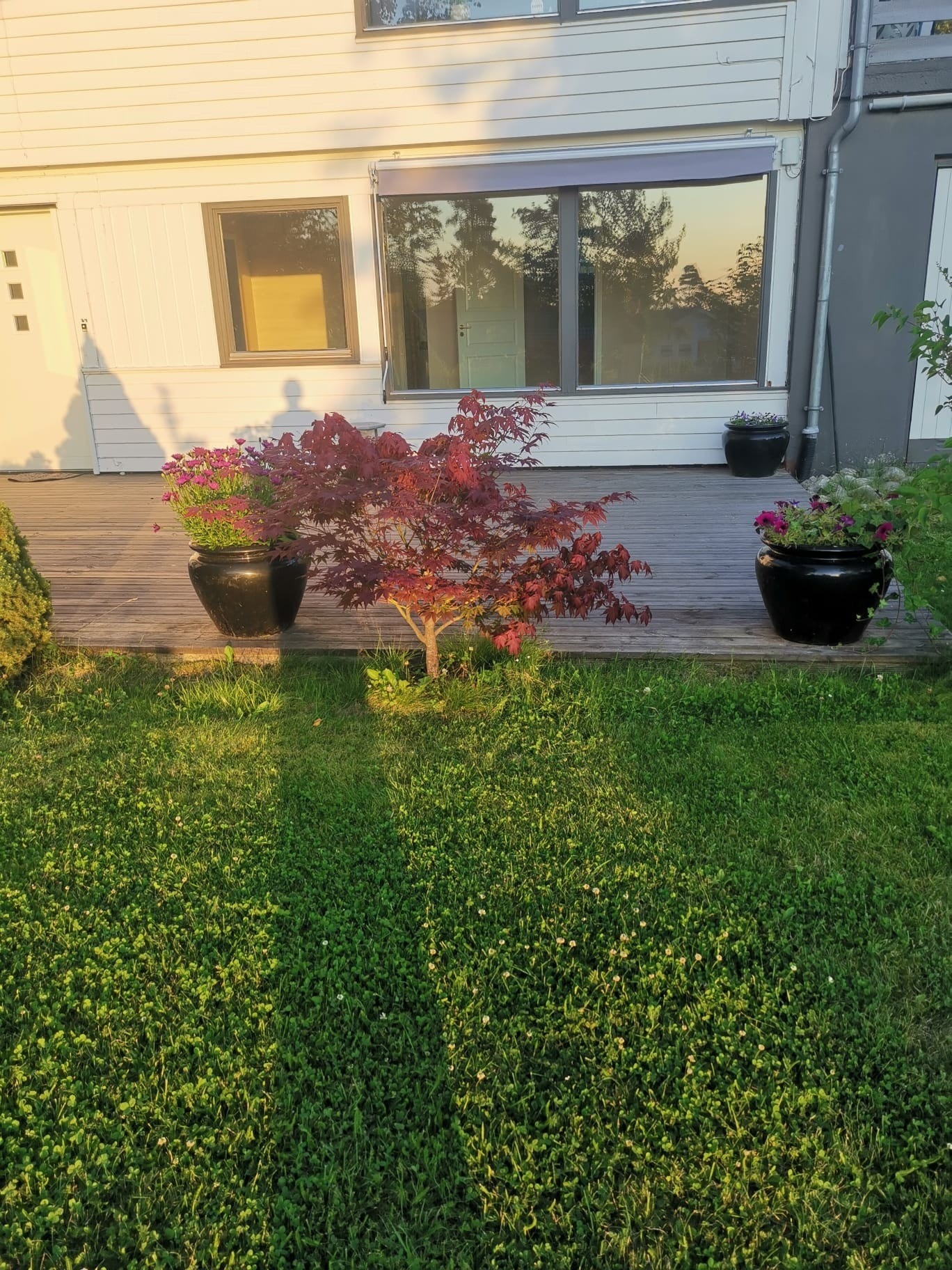 Front inngang Galleribilde