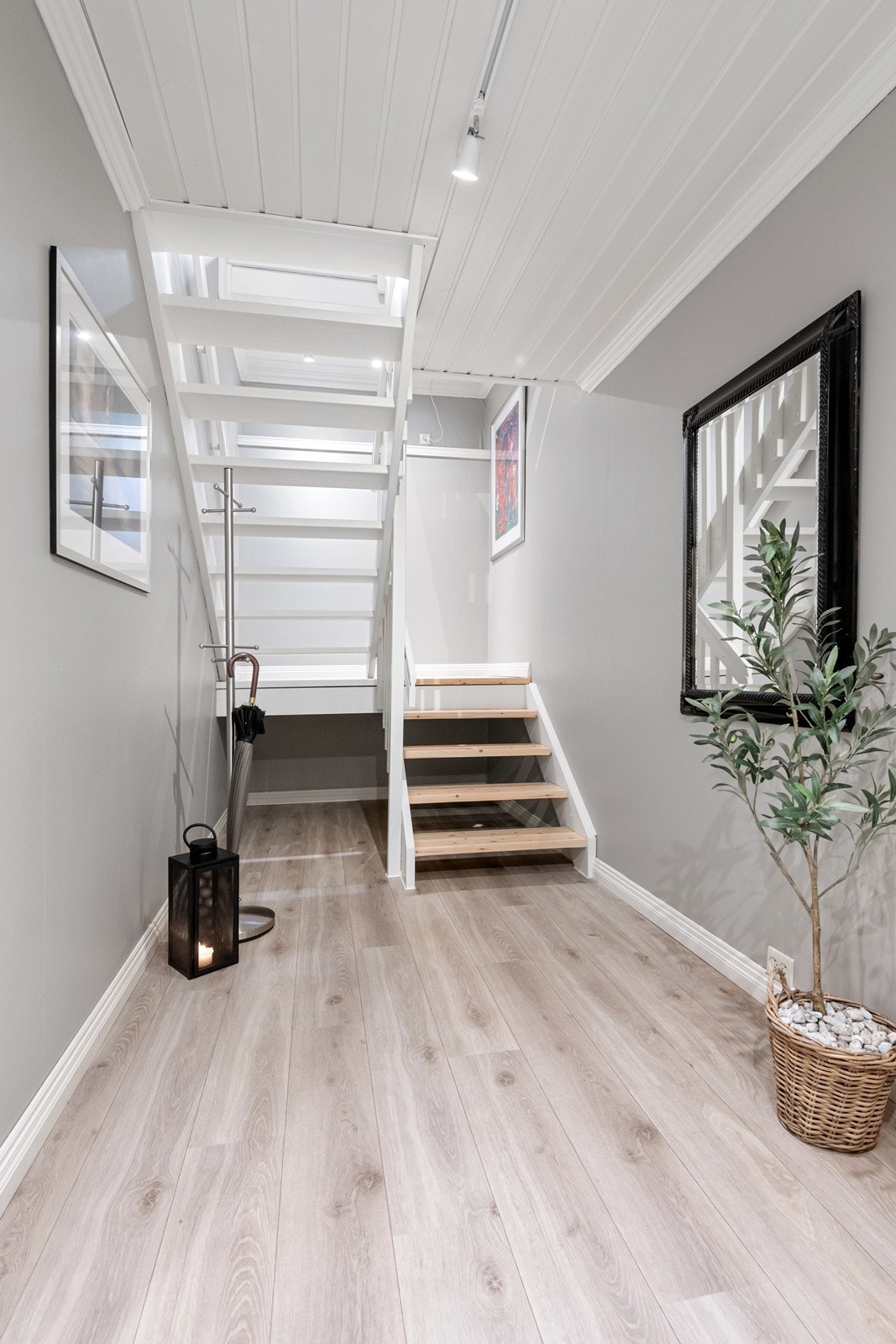 Trappegang Galleribilde