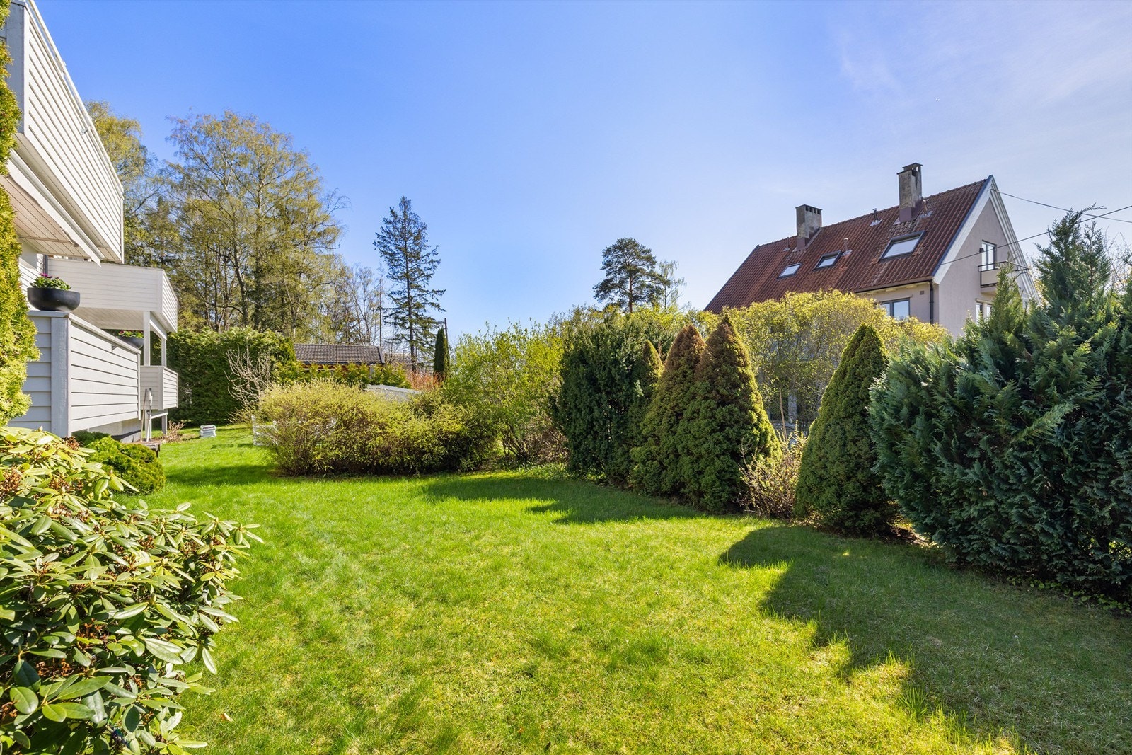 Hage. Galleribilde