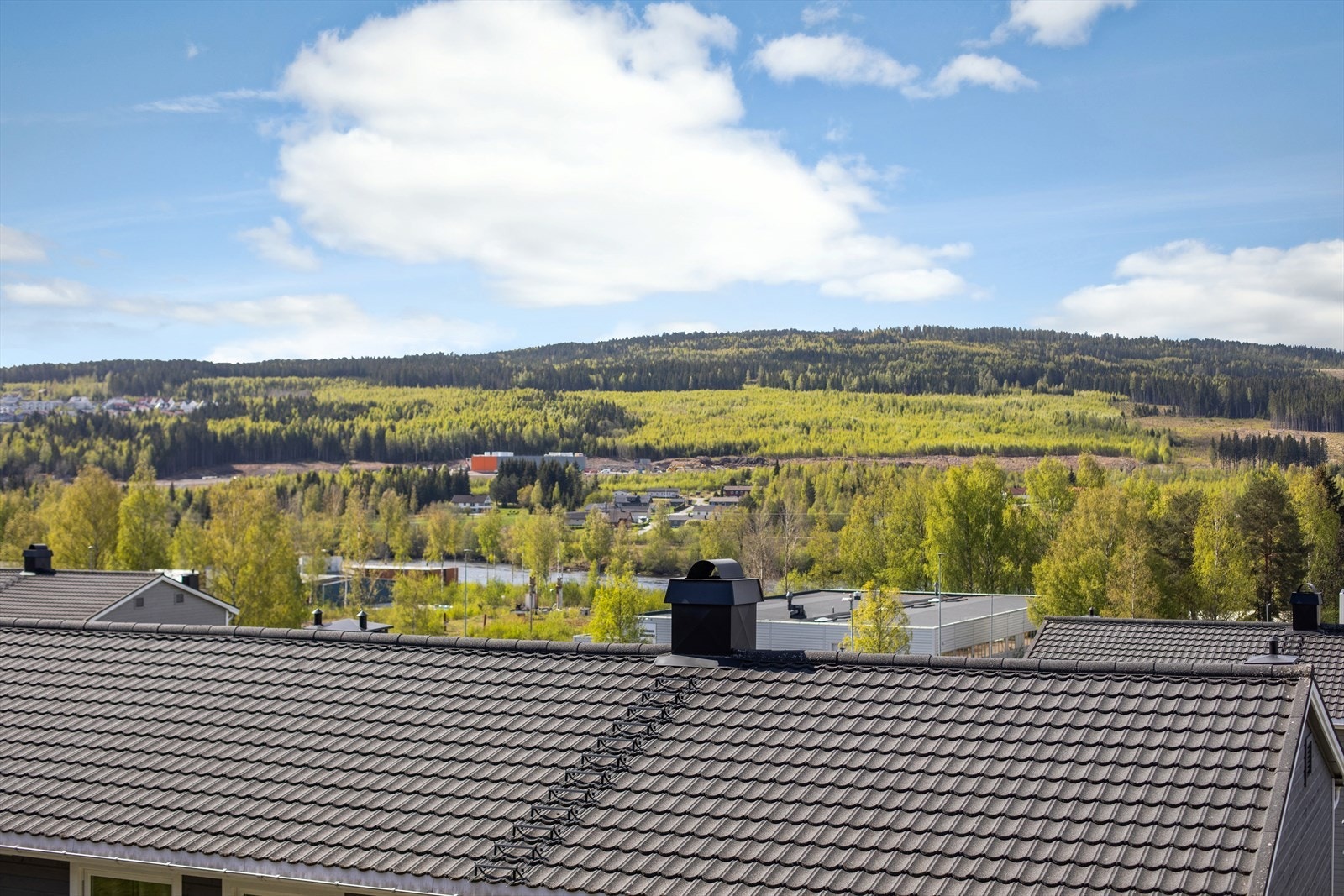 Langstrakt utsikt over distriktets skogkledde åser, og gløtt til Glomma Galleribilde