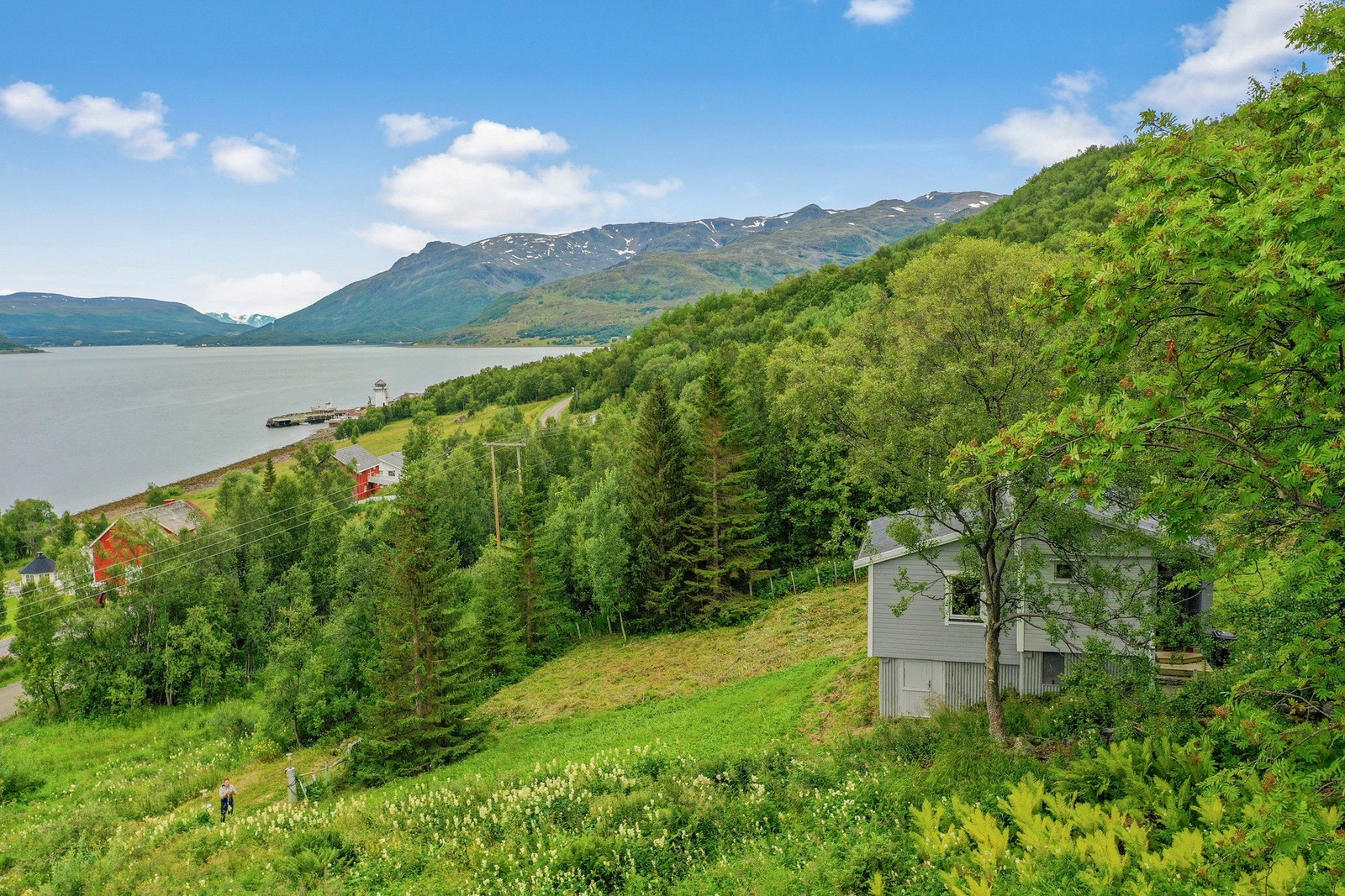 Område Galleribilde