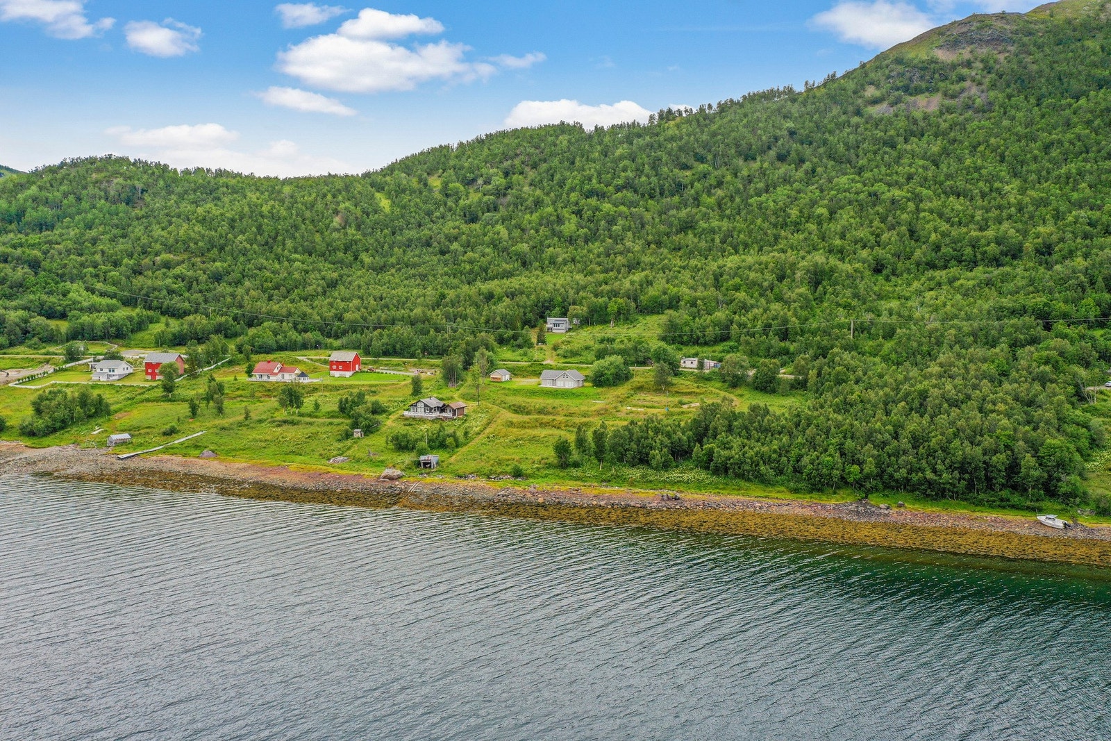 Område Galleribilde