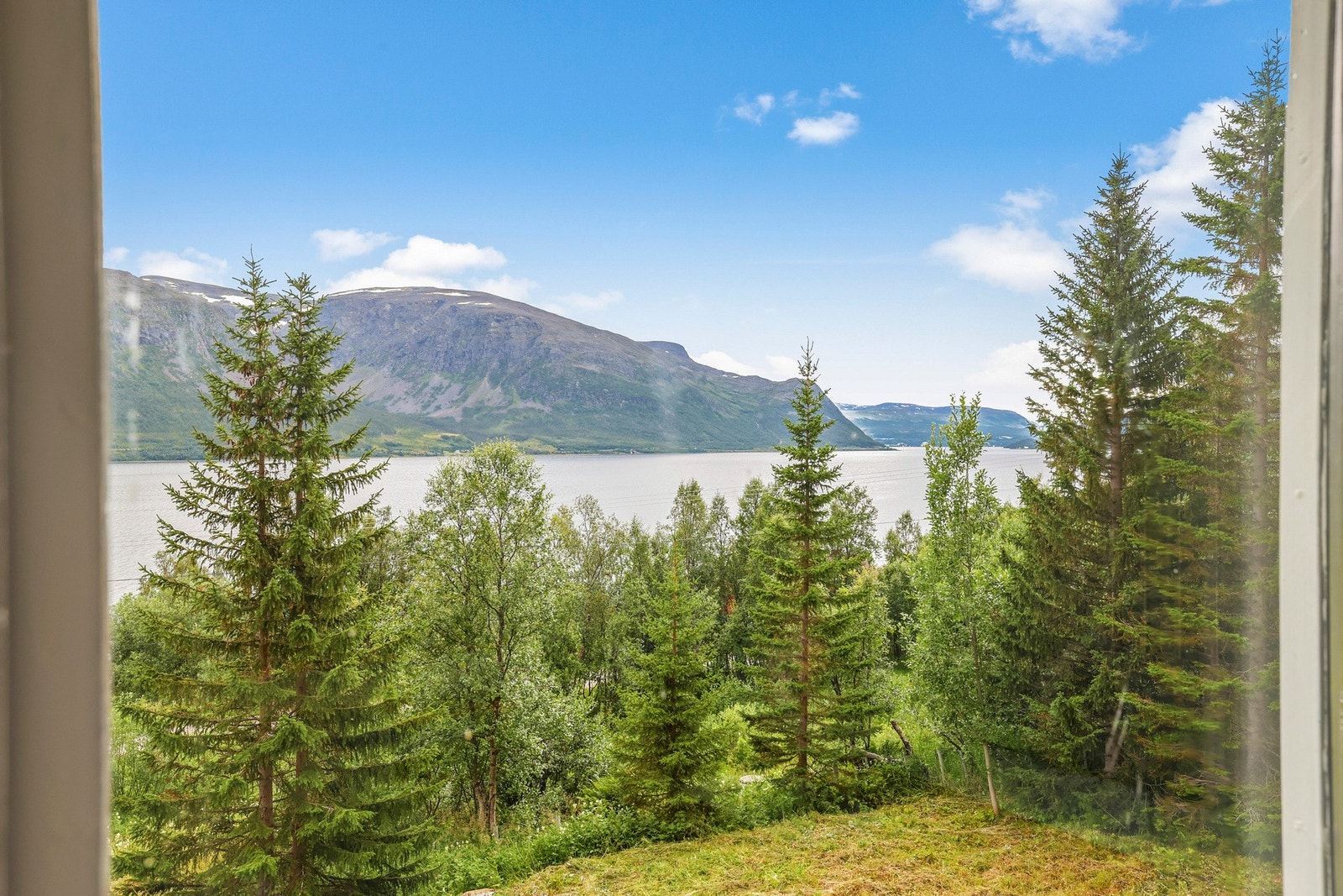 Område Galleribilde