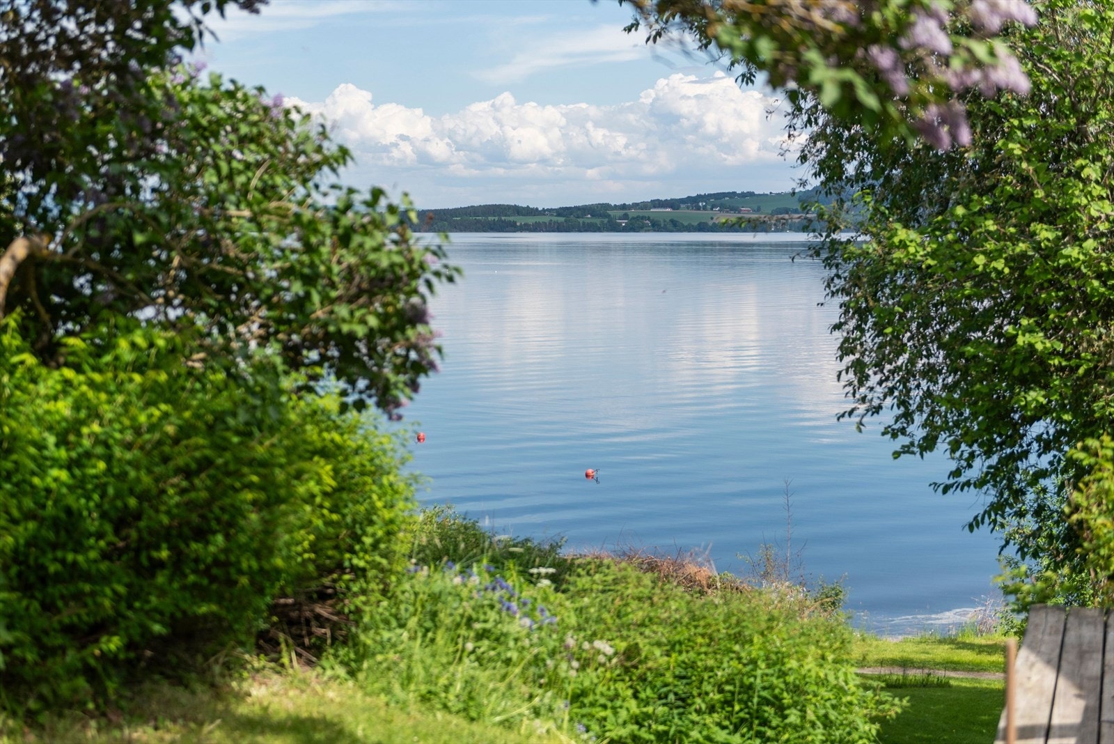 Mjøsa byr på idyll hele sommeren, samt bad- og fiskemuligheter. Galleribilde