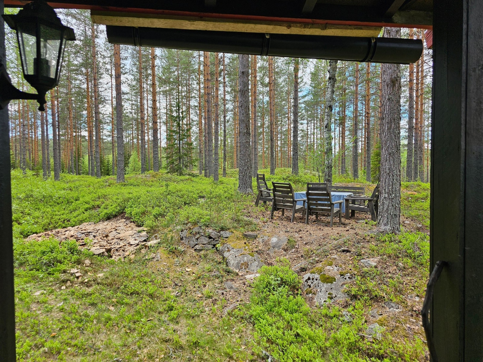 Bilde fra veranda mot sittegruppe og skogen Galleribilde