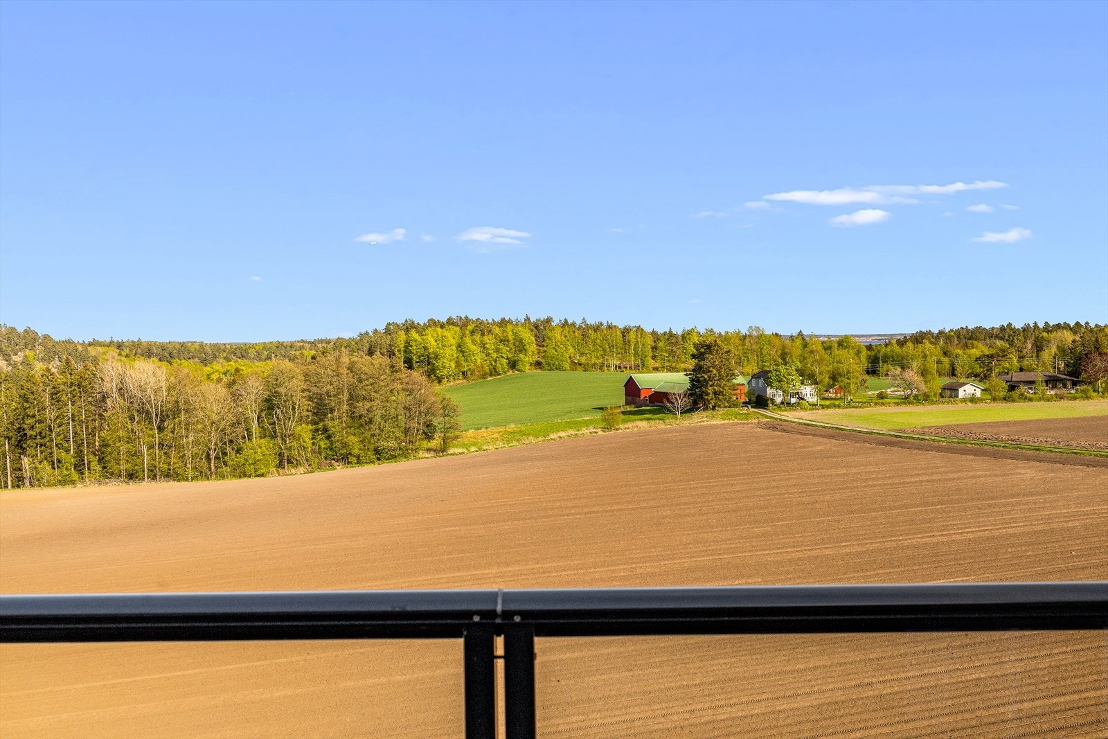 IMG 6147 Galleribilde