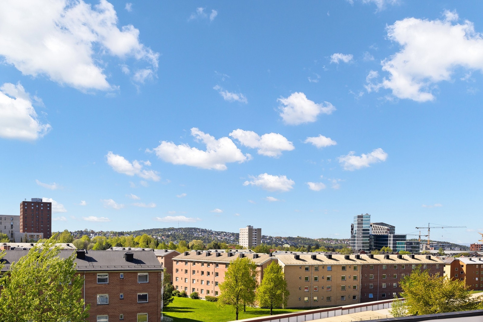 Flott utsikt Galleribilde