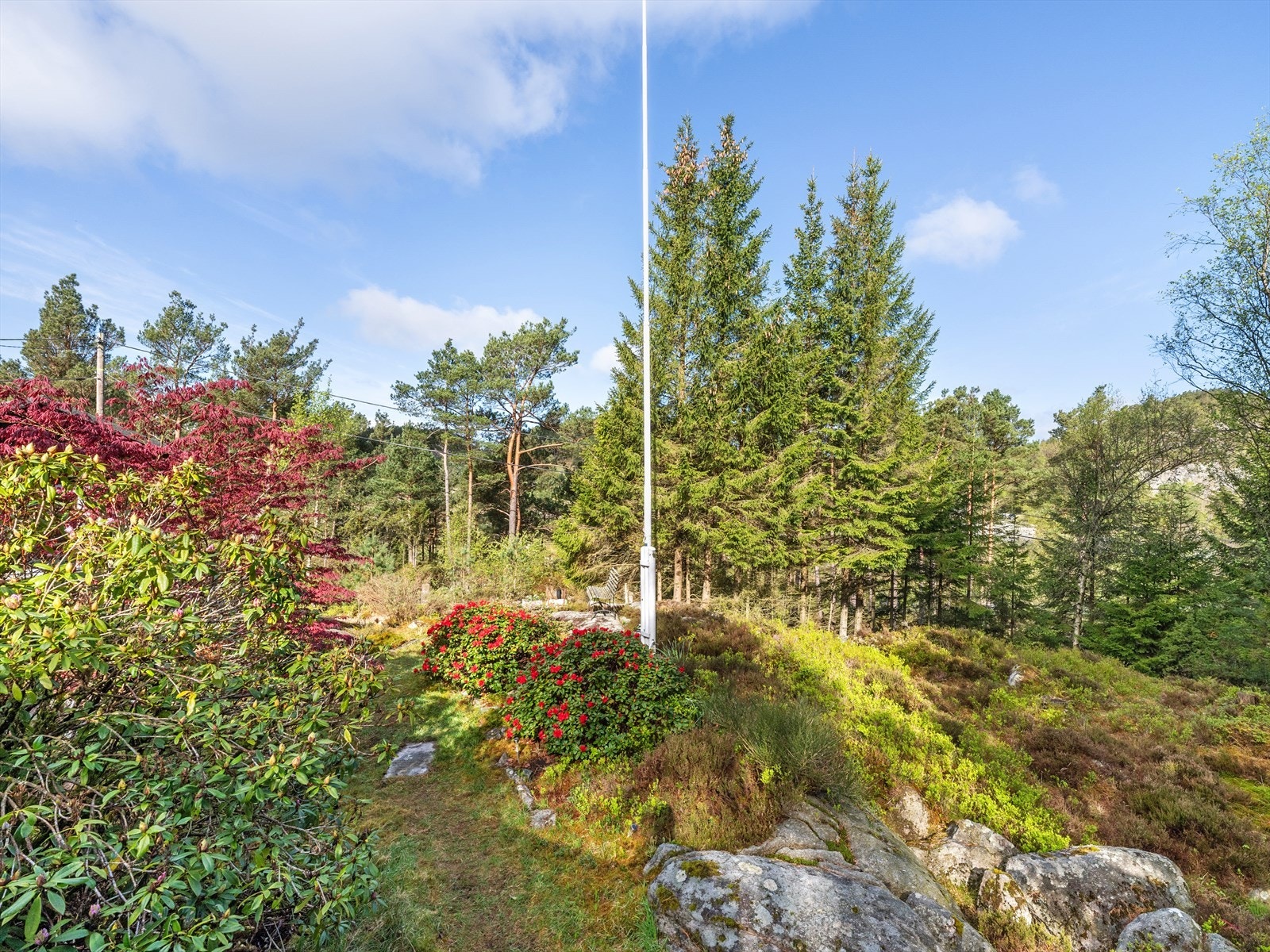 I området rundt finner du masse flotte turområder. Blant annet tursti til Søravannet (Eltervåg) like i nærheten, som kan ta deg videre til f.eks. Vårlivarden. Sjølvik hvor det er flotte bademuligheter på sandstrand og svaberg. Galleribilde