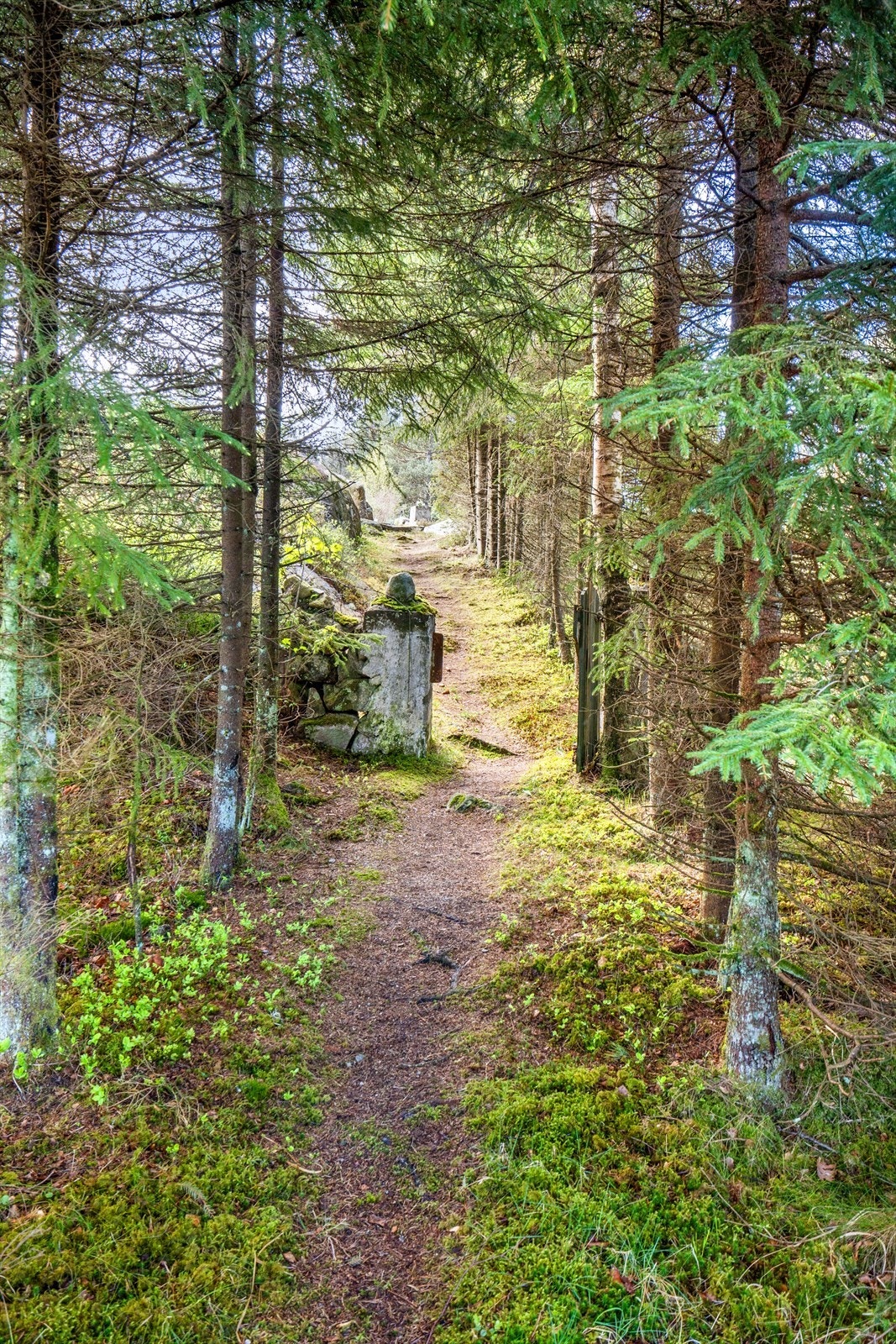 Fin natursti opp til hytten. Felles parkeringsplass med tinglyst rett til 2 biler, ca. 100 meter fra hytten som disponeres sammen med 2 andre hytter. Galleribilde