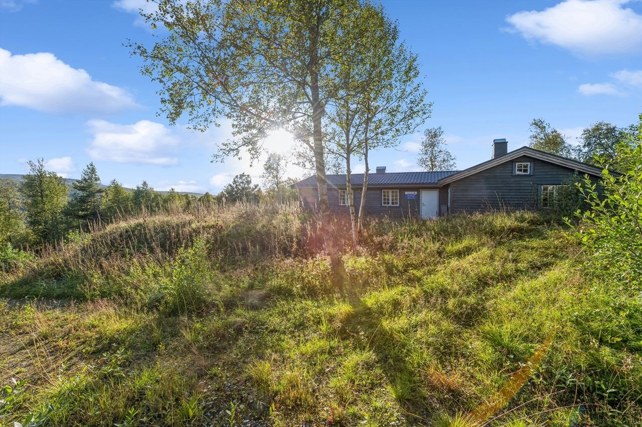 Usjenert beliggenhet Galleribilde