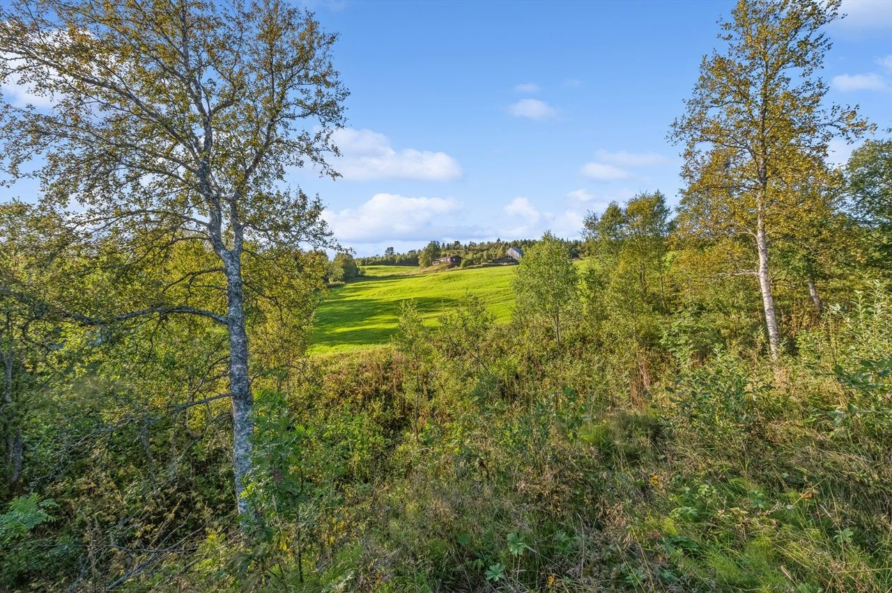 Utendørs Galleribilde