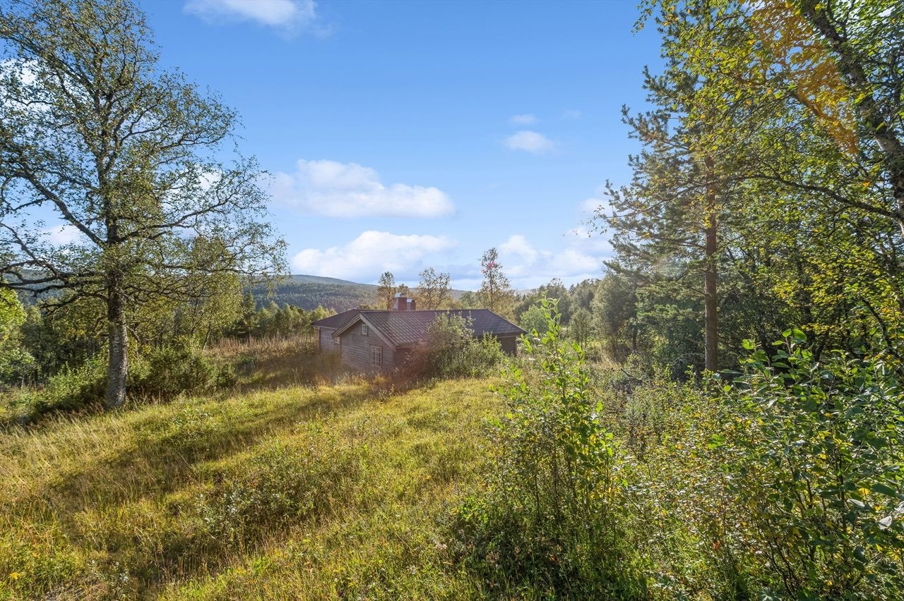 Eiendommen ligger fint til i naturskjønne omgivelser Galleribilde