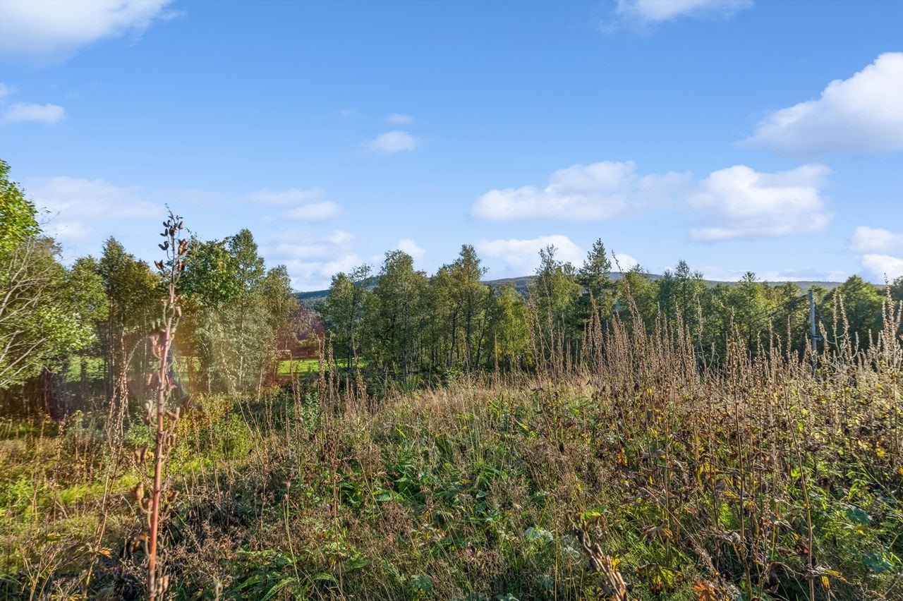 Savalen er et flott sted for den som er glad i naturen, og her kan man gå rett fra hytta og ut på tur både sommer og vinter Galleribilde