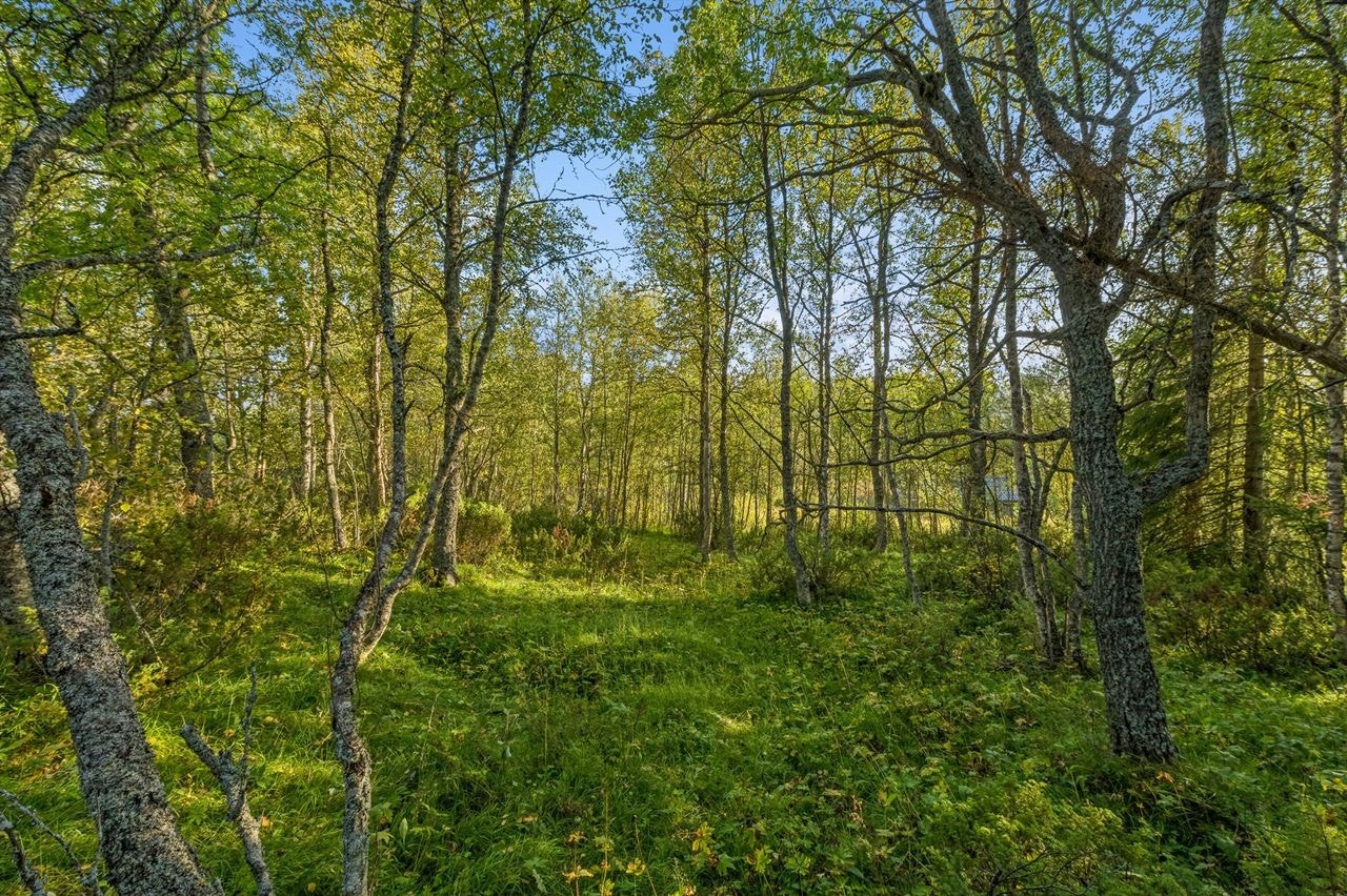 Utendørs Galleribilde