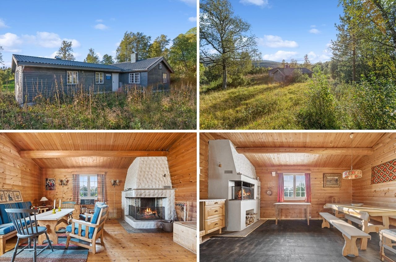 Velkommen til Savalveien 723! Galleribilde