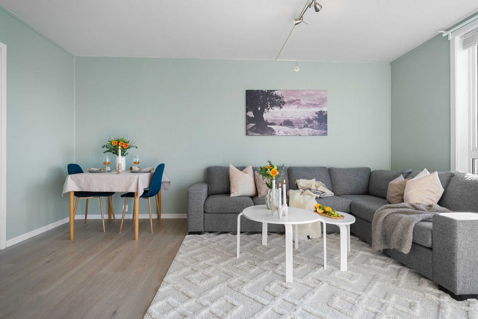 - Stuen måler hele 24,6m² og har god plass til ulike møbleringsløsninger - Galleribilde