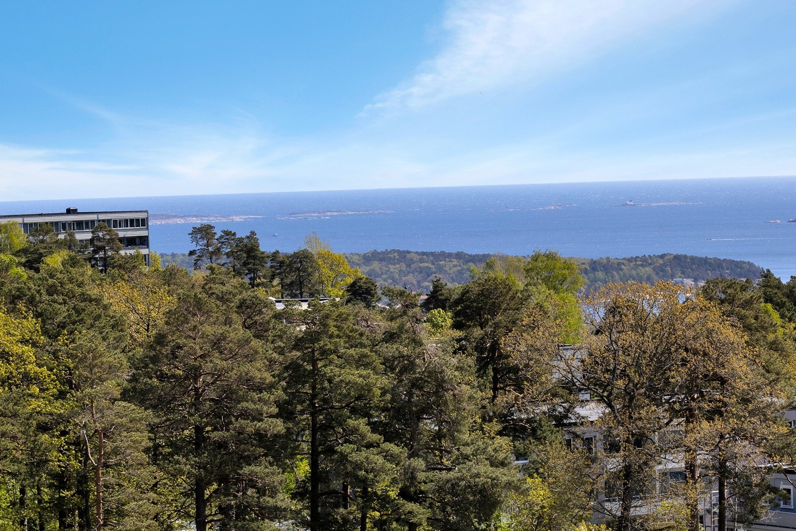 Utsikt. Galleribilde