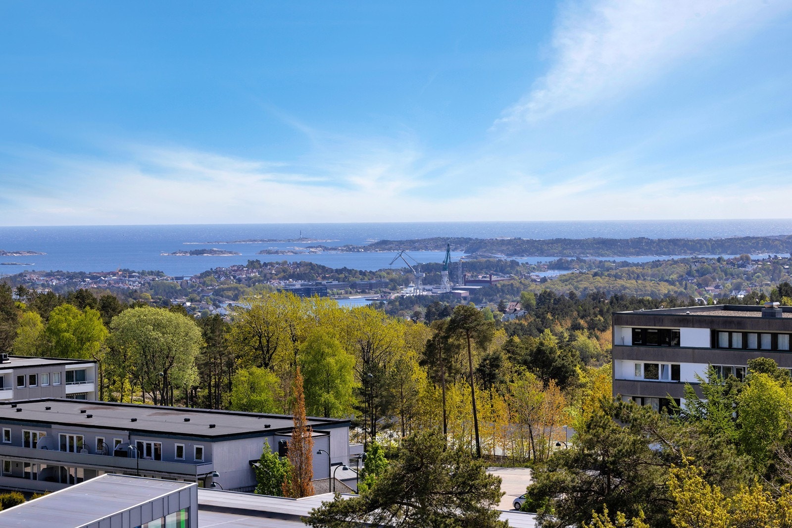 Utsikt. Galleribilde