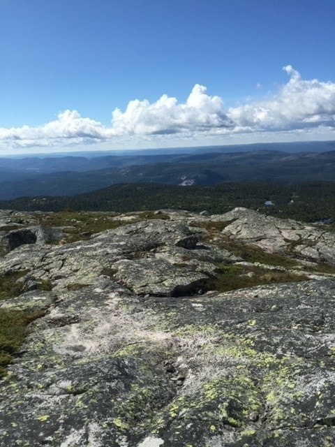 Det er lite som slår følelsen av å nå toppen og få med seg utsikten! Galleribilde