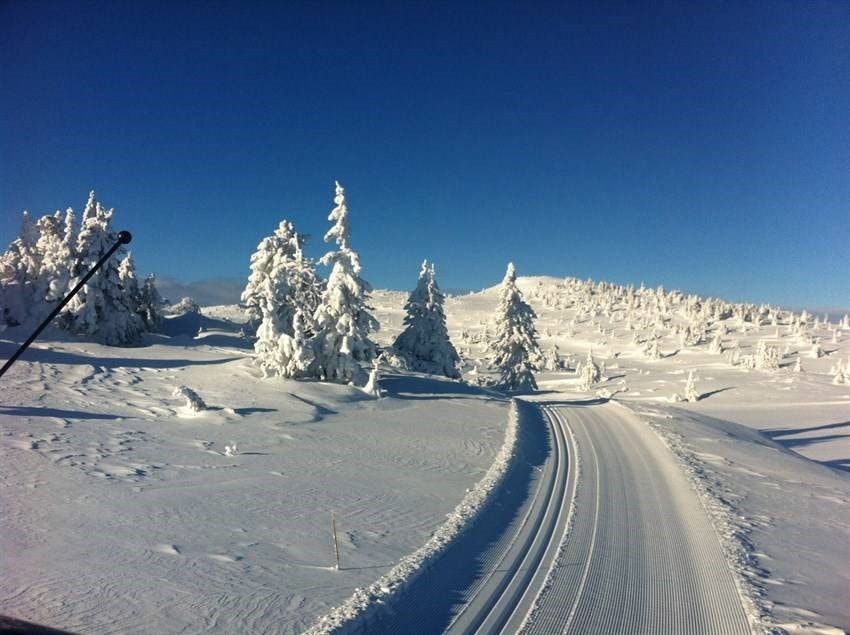 Hvor er den beste bålplassen? Ikke glem kvikklunsjen! Galleribilde