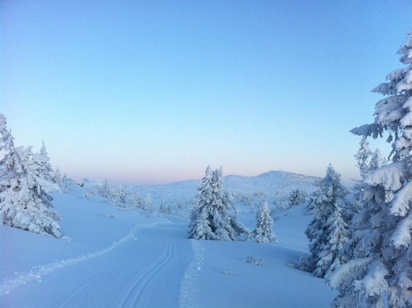 Det er skiløyper i nærheten Galleribilde