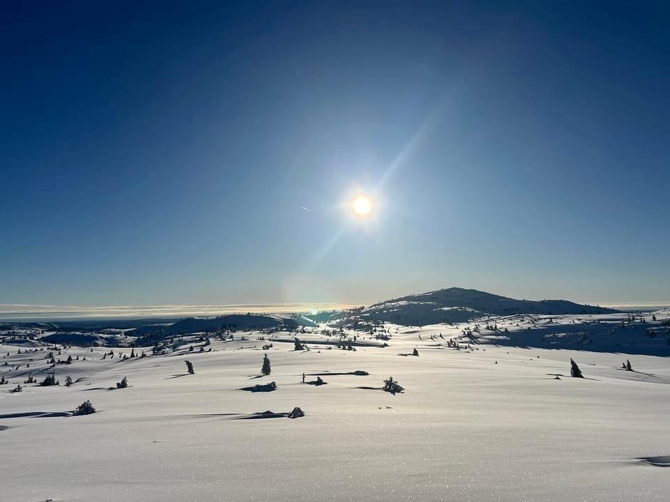 Hytta er et meget godt utgangspunkt for naturopplevelser, både rett utenfor vinduet og her på tur på fjellet! Galleribilde