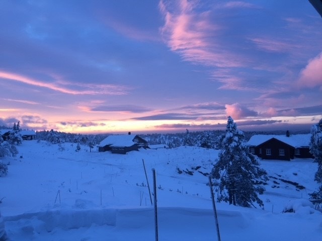 Hillestadheia har noe å gi alle årstider Galleribilde