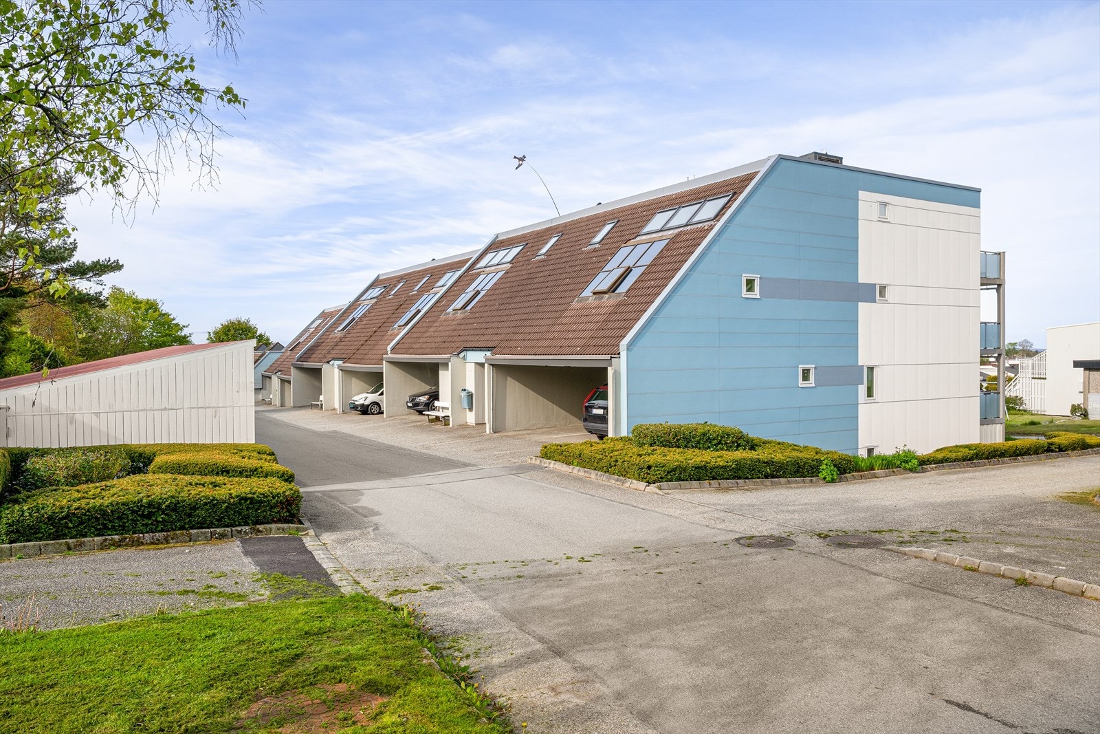 Fellesområde Galleribilde