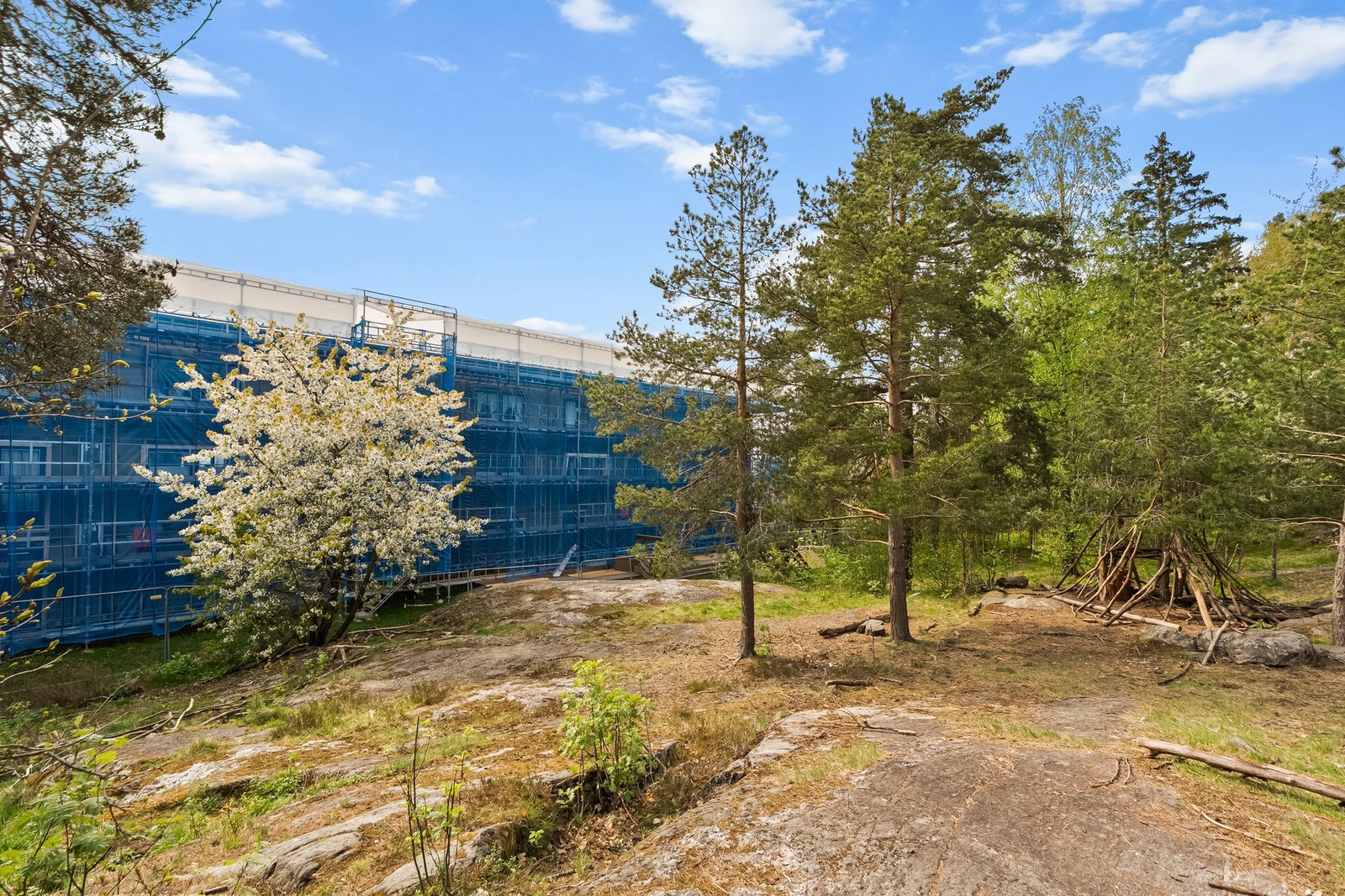 Her er det rikelig med boltreplass for de minste, og fine turmuligheter rett utenfor døren. Nordseterskogen ligger bak bygget. Galleribilde