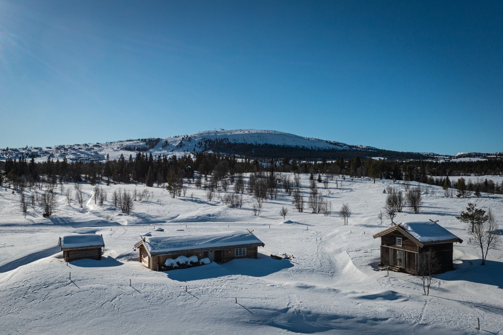 Her kan man nyte vafler og kaffe på sommerstid. Galleribilde