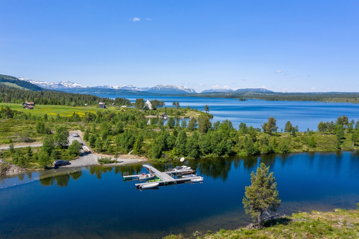 Fra Tisleia snor elven seg videre. Denne er viden kjent for sitt ørretfiske og sesongen starter i mai og avsluttes i september. Galleribilde