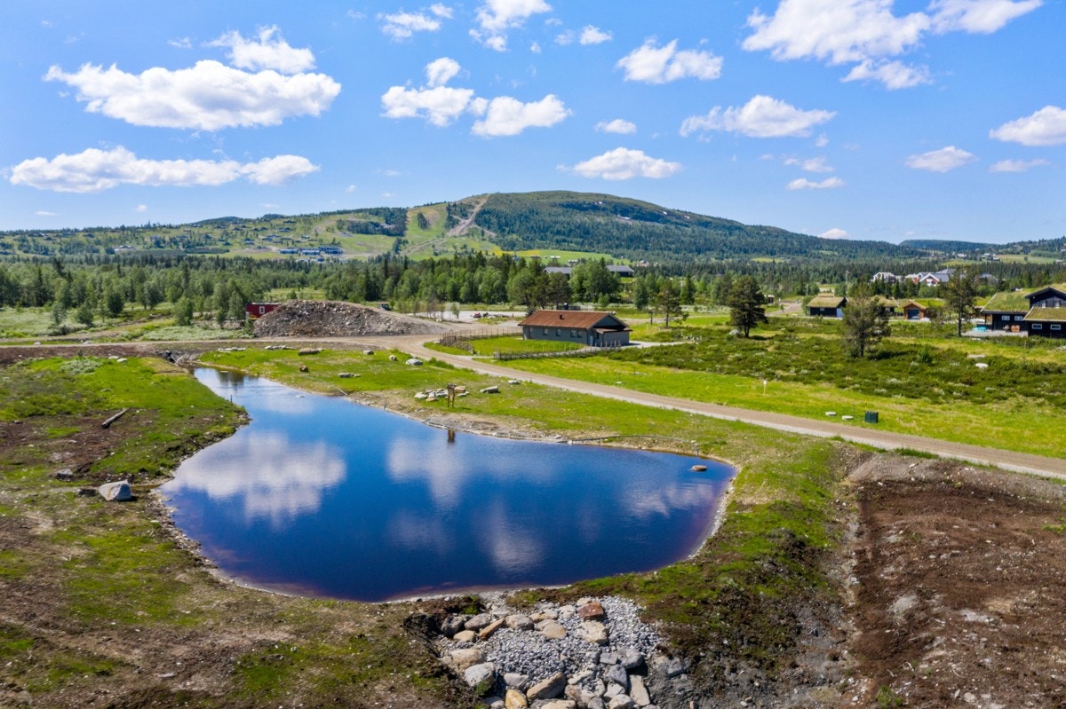 Ingen byggeklausul - du velger selv hvilken hytte du vil bygge. Galleribilde