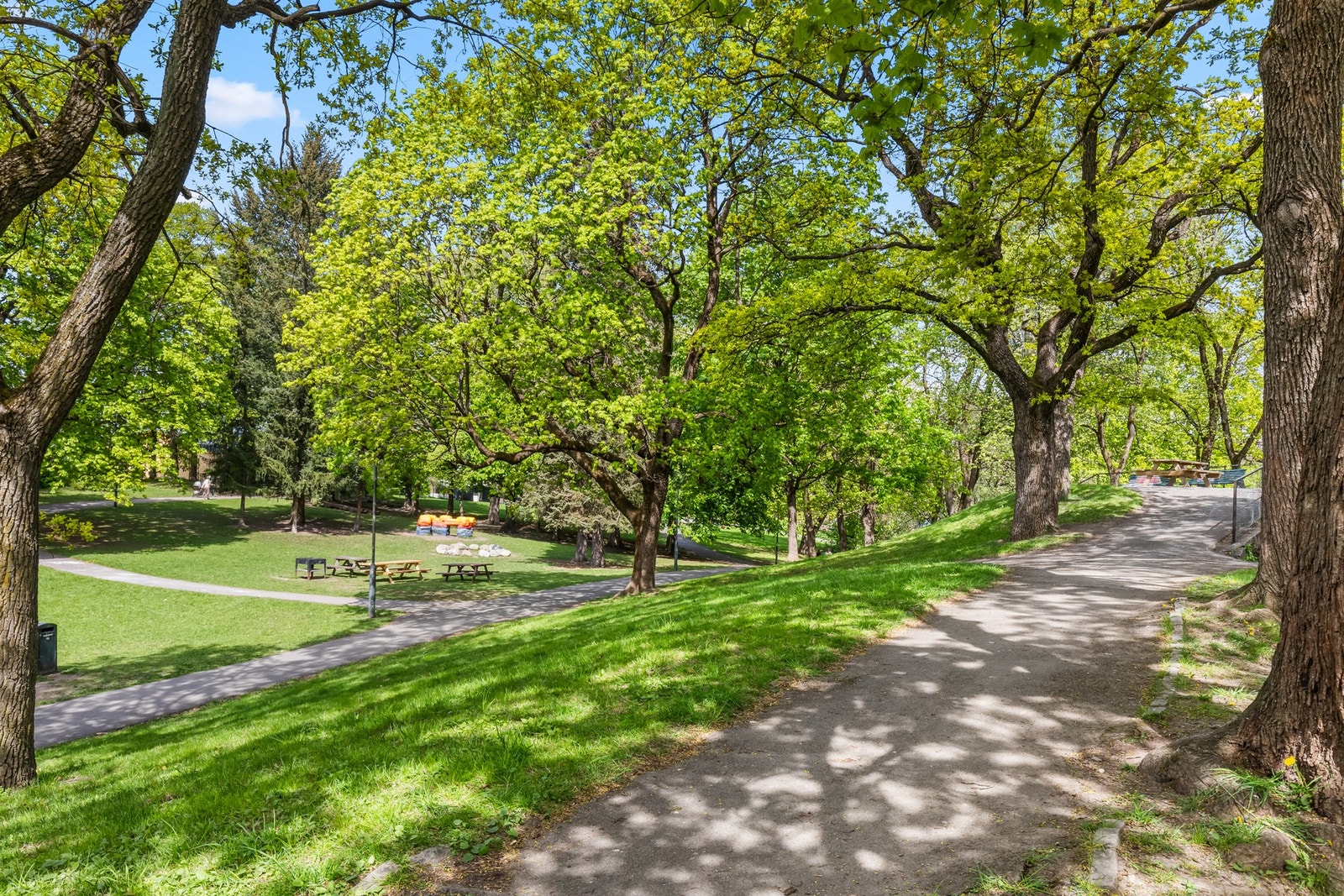 Grønne lunger og parker like ved leiligheten Galleribilde