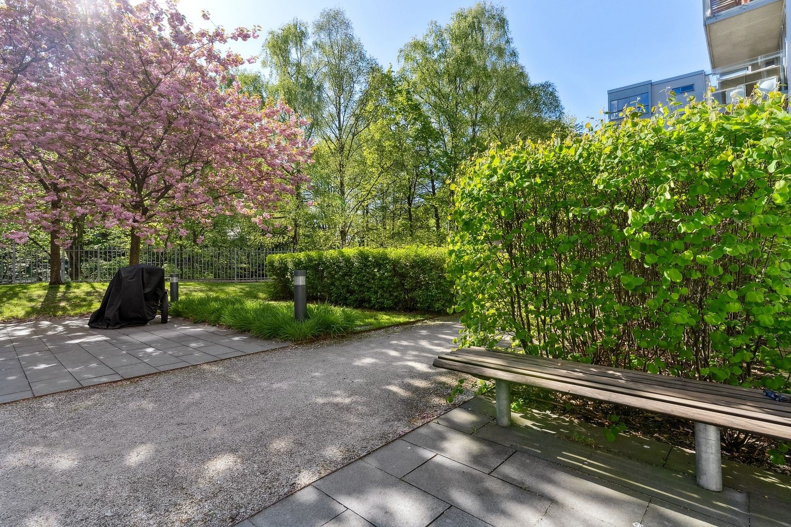 Felles-arelaer for sameiet. Galleribilde