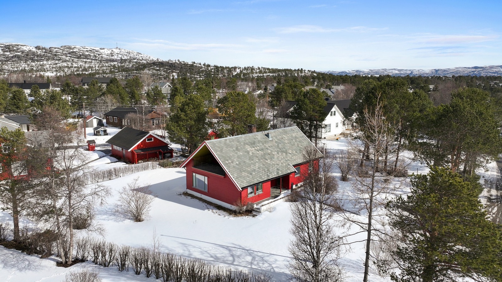 Den solrike og flate tomten på hele 1430 kvm er opparbeidet med bærbusker, potetland og sol fra januar til sent på kveld om sommeren. Galleribilde