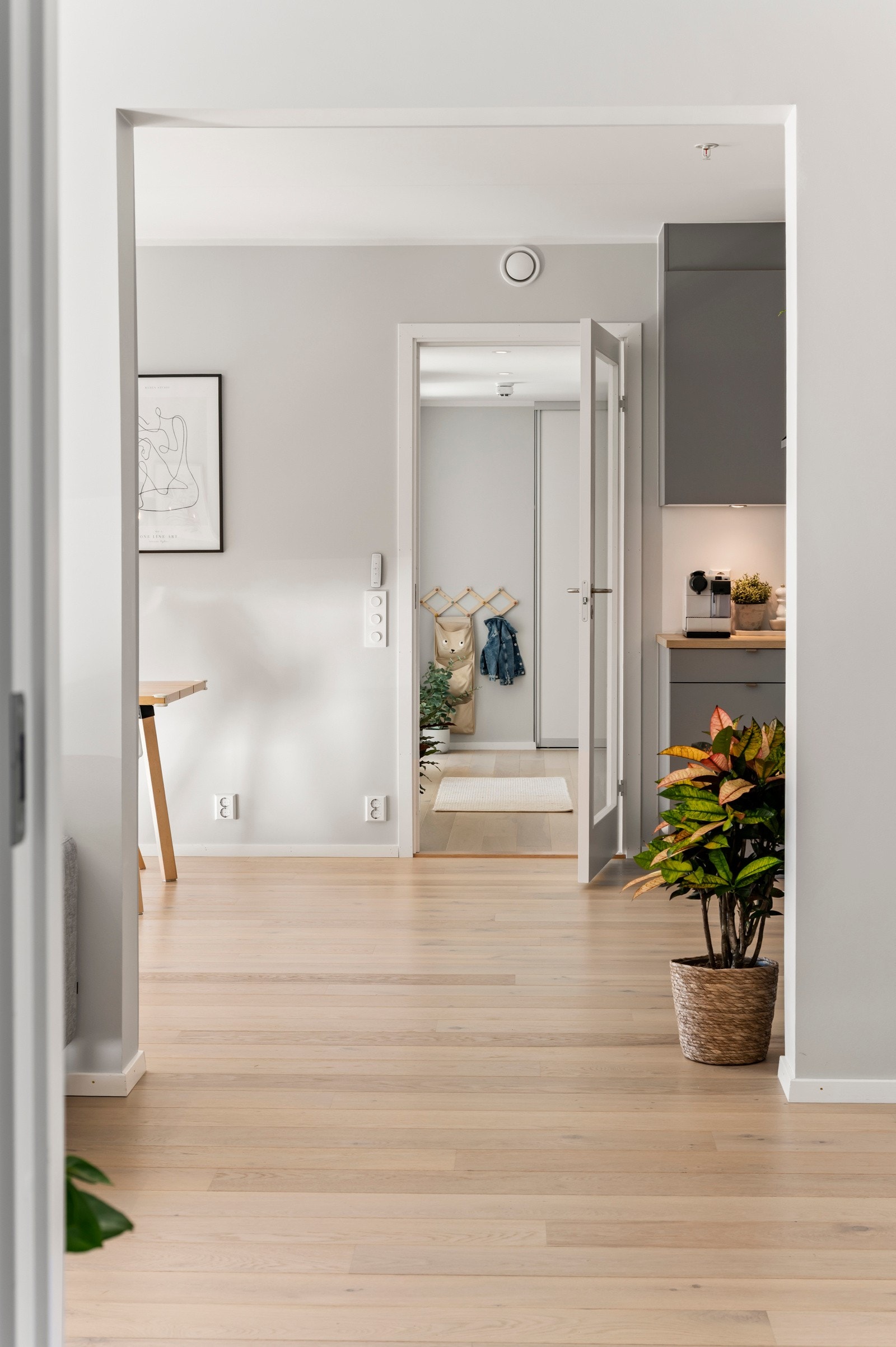 Leiligheten har en svært behagelig soneinndeling Galleribilde