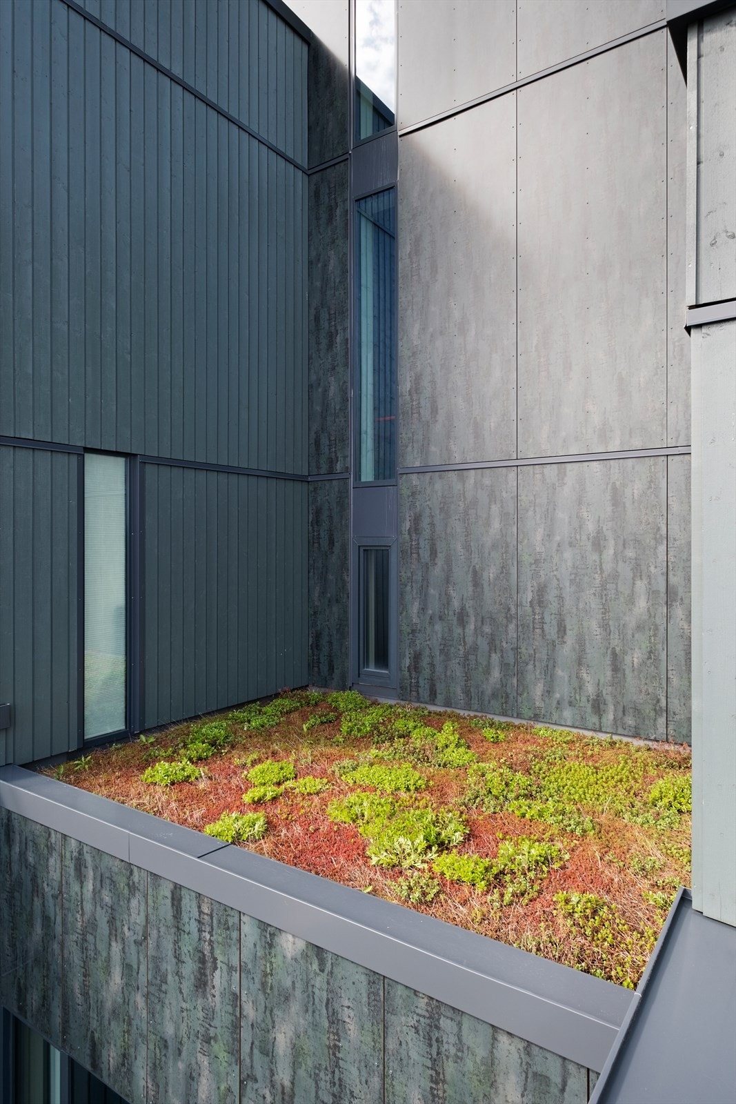 Detalj fasade - her får du naturen inn i stuen med fine farger som varierer med årstiden Galleribilde