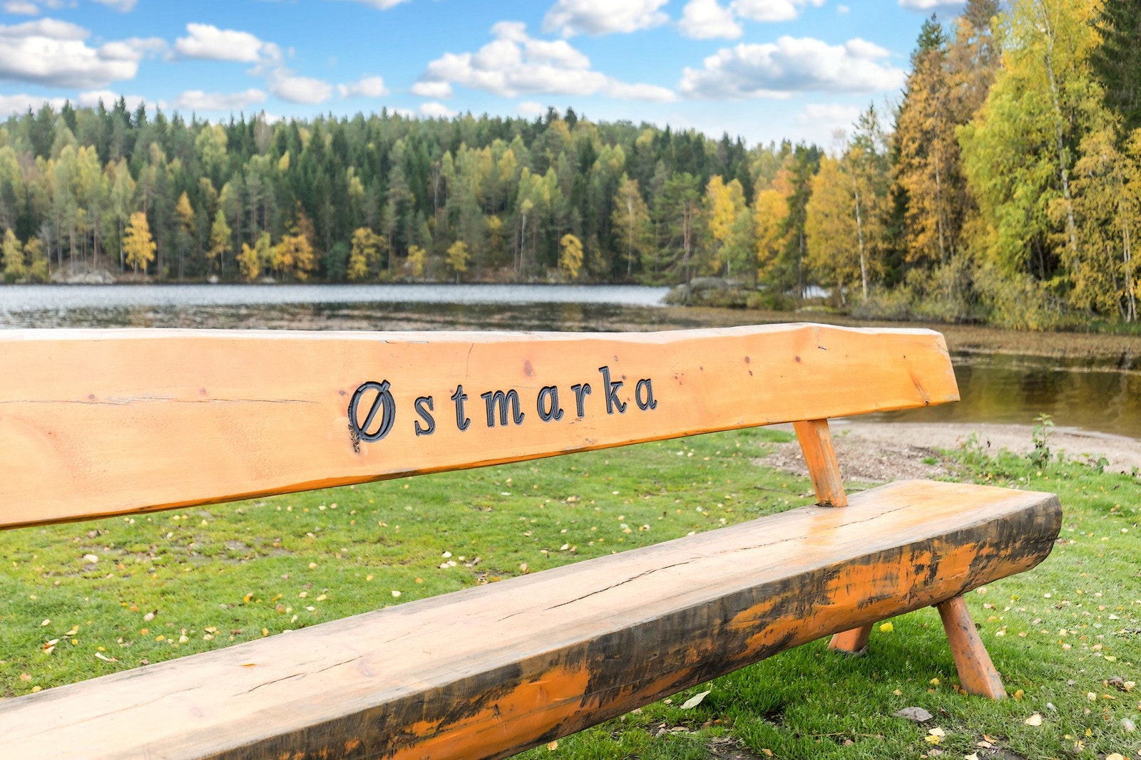 Idylliske turmuligheter i Østmarka. Galleribilde