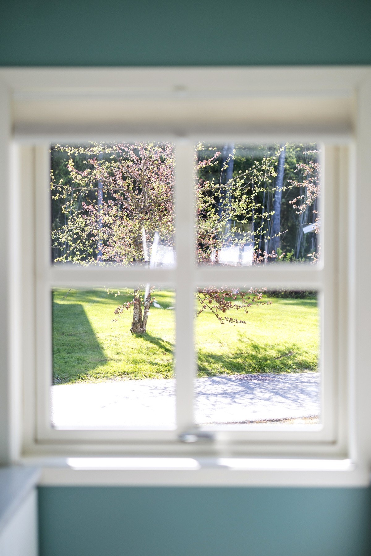 Utsikt mot grønne fellesarealer Galleribilde