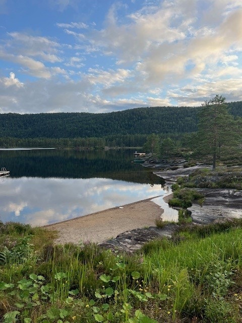 Selgers bilde. Galleribilde