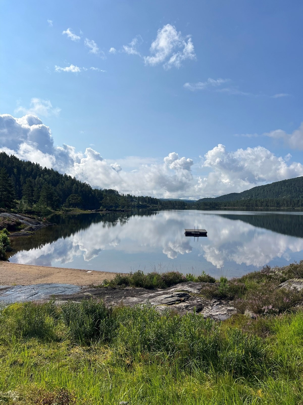 Selgers bilde. Galleribilde