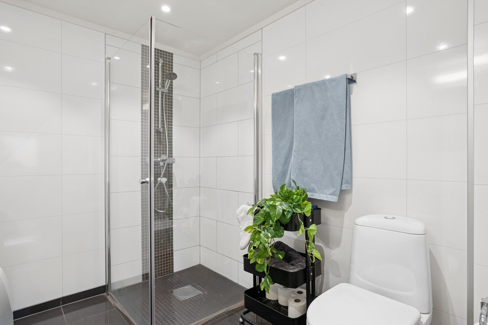 Dushjørne med innfellbare glassvegger. Downlights i taket Galleribilde