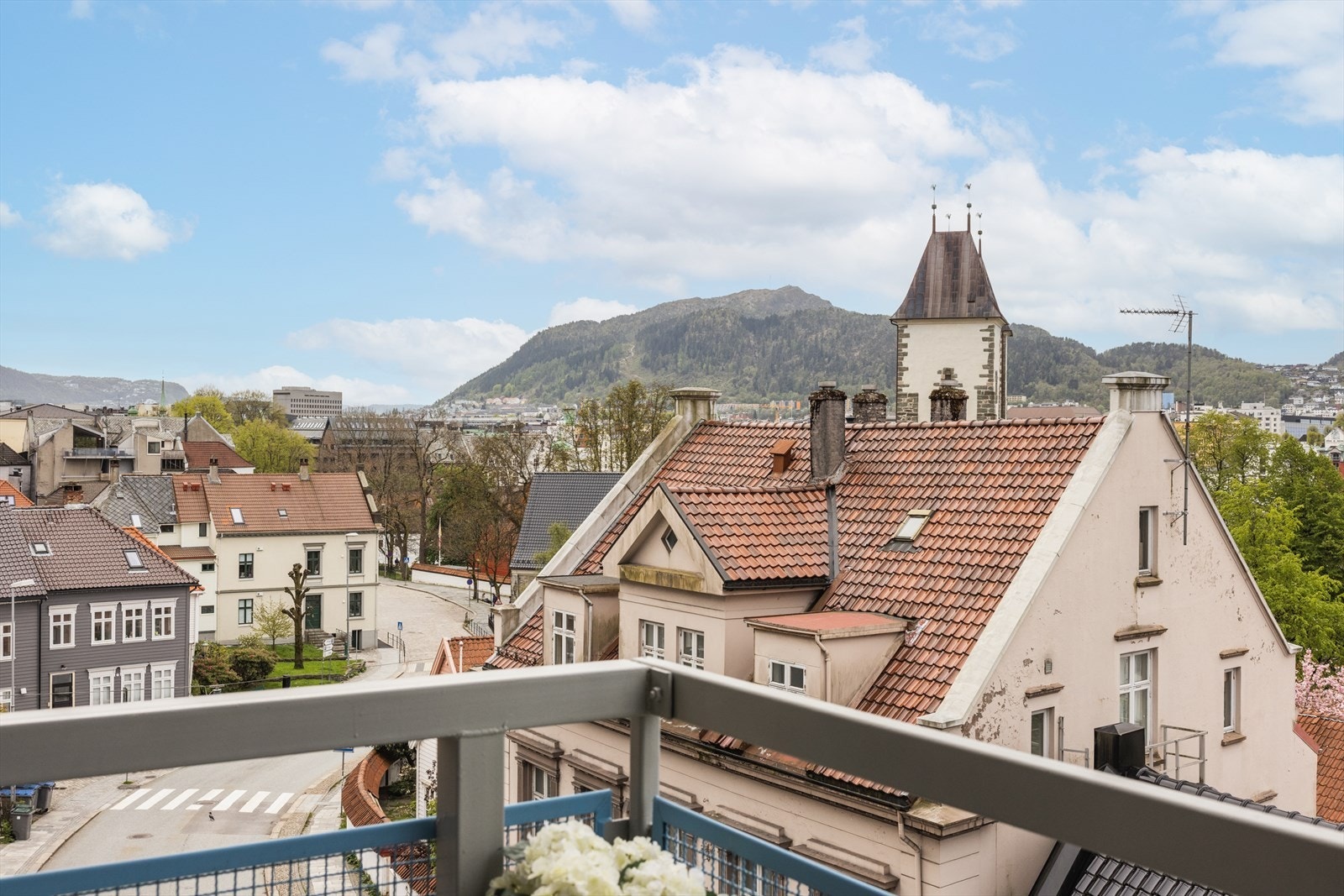 Her har man en sjarmerende utsikt over nærområdet. Galleribilde