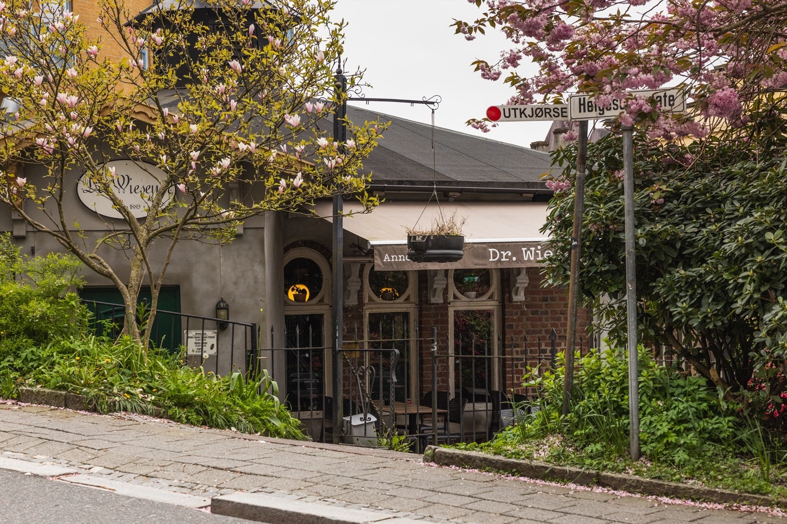 Dr. Wiesner ligger et steinkast fra boligen, med mat- og drikkeservering som både kan nytes ute og inne. Galleribilde