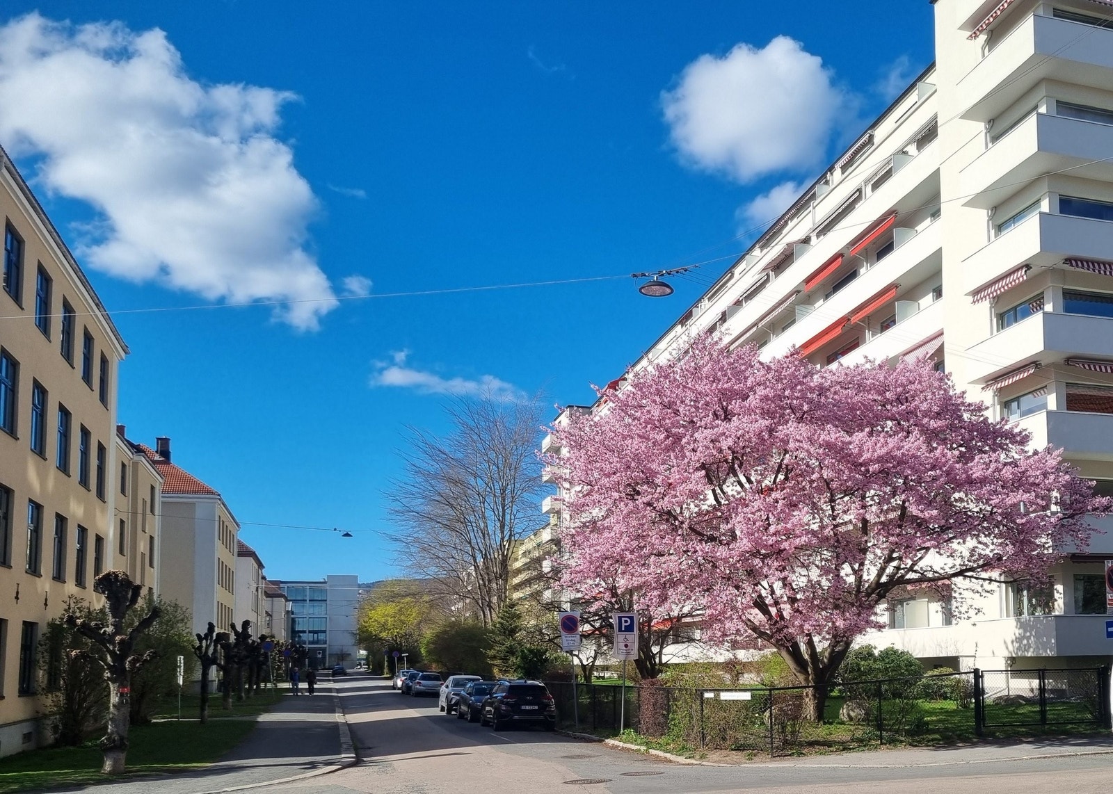 Vakkert nærområde! Galleribilde