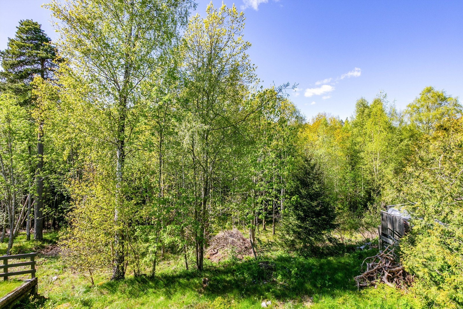 På terrassen ser du ut over egen tomt, mot vakre løvtrær i marka. Galleribilde